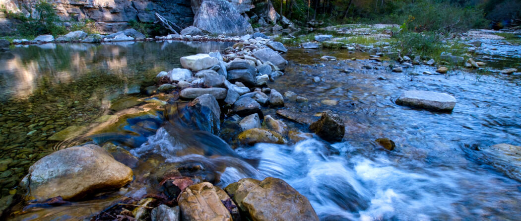 A large river with several rocks and plants